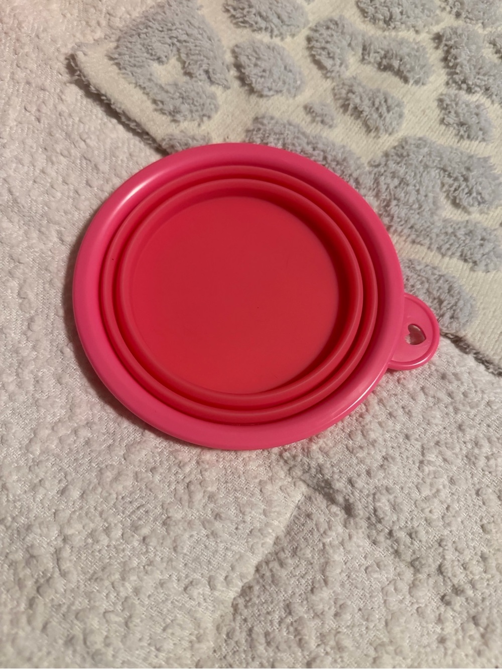 Collapsible Silicone Pet Bowl - Bright Pink